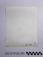 黃則修攝蠟燭藏品圖，第2張