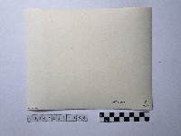 黃則修攝俯瞰龍山寺藏品圖，第2張