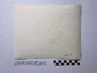 黃則修攝俯瞰龍山寺藏品圖，第2張