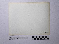 黃則修攝俯瞰龍山寺藏品圖，第2張