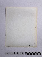 黃則修攝雕字石柱藏品圖，第2張