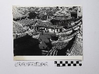 黃則修攝由屋頂俯瞰地面的照片藏品圖，第1張