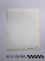 黃則修攝柱子藏品圖，第2張