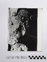 黃則修攝石雕藏品圖，第1張