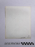 黃則修攝石雕藏品圖，第2張