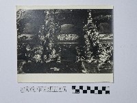 黃則修攝祥獸藏品圖，第1張