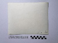 黃則修攝祥獸藏品圖，第2張