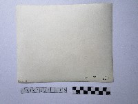 黃則修攝祥獸藏品圖，第2張