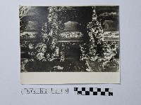 黃則修攝祥獸藏品圖，第1張