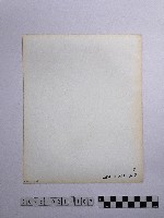 黃則修攝瓜筒藏品圖，第2張