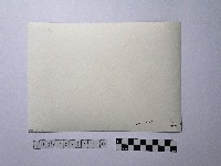 黃則修攝女子與孩童藏品圖，第2張