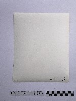黃則修攝長者藏品圖，第2張