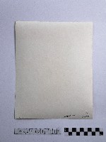 黃則修攝男子藏品圖，第2張