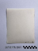 黃則修攝男子藏品圖，第2張