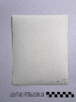 黃則修攝男子藏品圖，第2張