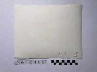 黃則修攝男子藏品圖，第2張