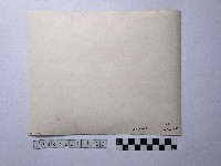 黃則修攝男子藏品圖，第2張