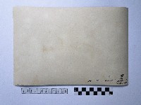 黃則修攝男子藏品圖，第2張