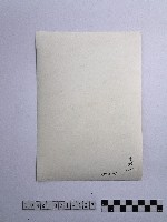 黃則修攝石柱藏品圖，第2張