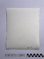 黃則修攝順風耳藏品圖，第2張