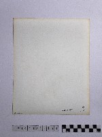黃則修攝屋頂的龍飾藏品圖，第2張