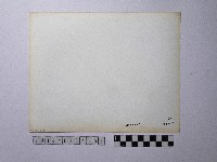 黃則修攝屋頂剪黏藏品圖，第2張