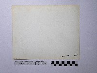 黃則修攝屋頂剪粘藏品圖，第2張