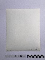 黃則修攝人群藏品圖，第2張