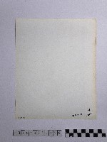 黃則修攝男子藏品圖，第2張