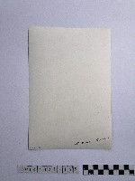 黃則修攝女子合影照藏品圖，第2張