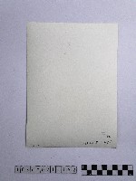 黃則修攝人群藏品圖，第2張