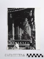 黃則修攝女子藏品圖，第1張