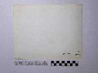 黃則修攝俯瞰廟內的人群藏品圖，第2張