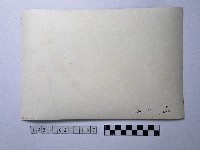 黃則修攝下棋藏品圖，第2張