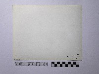 黃則修攝聖誕法會藏品圖，第2張