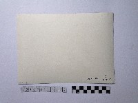 黃則修攝師父背影藏品圖，第2張