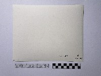 黃則修攝師父背影藏品圖，第2張