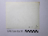 黃則修攝師父背影藏品圖，第2張