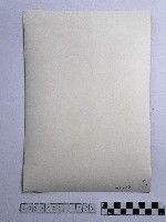 黃則修攝女子藏品圖，第2張