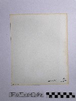 黃則修攝女子藏品圖，第2張