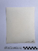 黃則修攝下棋藏品圖，第2張