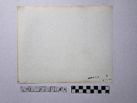 黃則修攝男子藏品圖，第2張