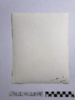 黃則修攝長者藏品圖，第2張