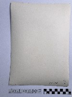 黃則修攝男童藏品圖，第2張