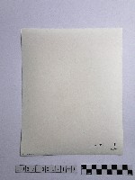 黃則修攝女性藏品圖，第2張