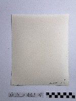 黃則修攝女性藏品圖，第2張