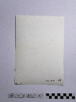 黃則修攝供品藏品圖，第2張