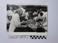 黃則修攝長者藏品圖，第1張