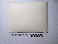 黃則修攝夜晚的人群藏品圖，第2張