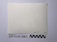 黃則修攝人群藏品圖，第2張